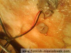 przygotowanie_wnetrza_6