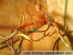przygotowanie_wnetrza_7