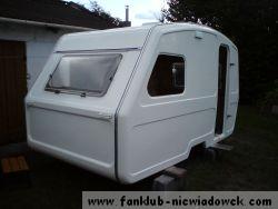 skorupa_17