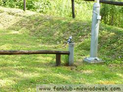 gofer_tyrawa_solna_5