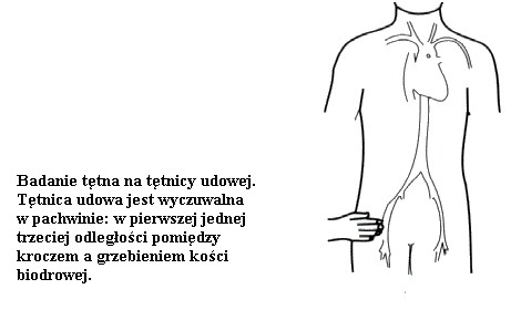 pomoc2