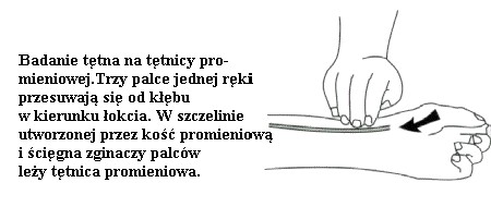 pomoc3